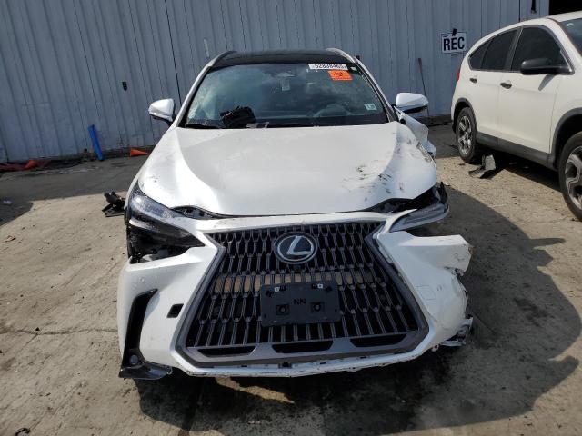  LEXUS NX 350H BA 2024 Белы