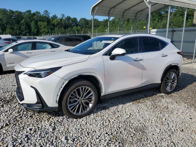  LEXUS NX 350 2022 Biały