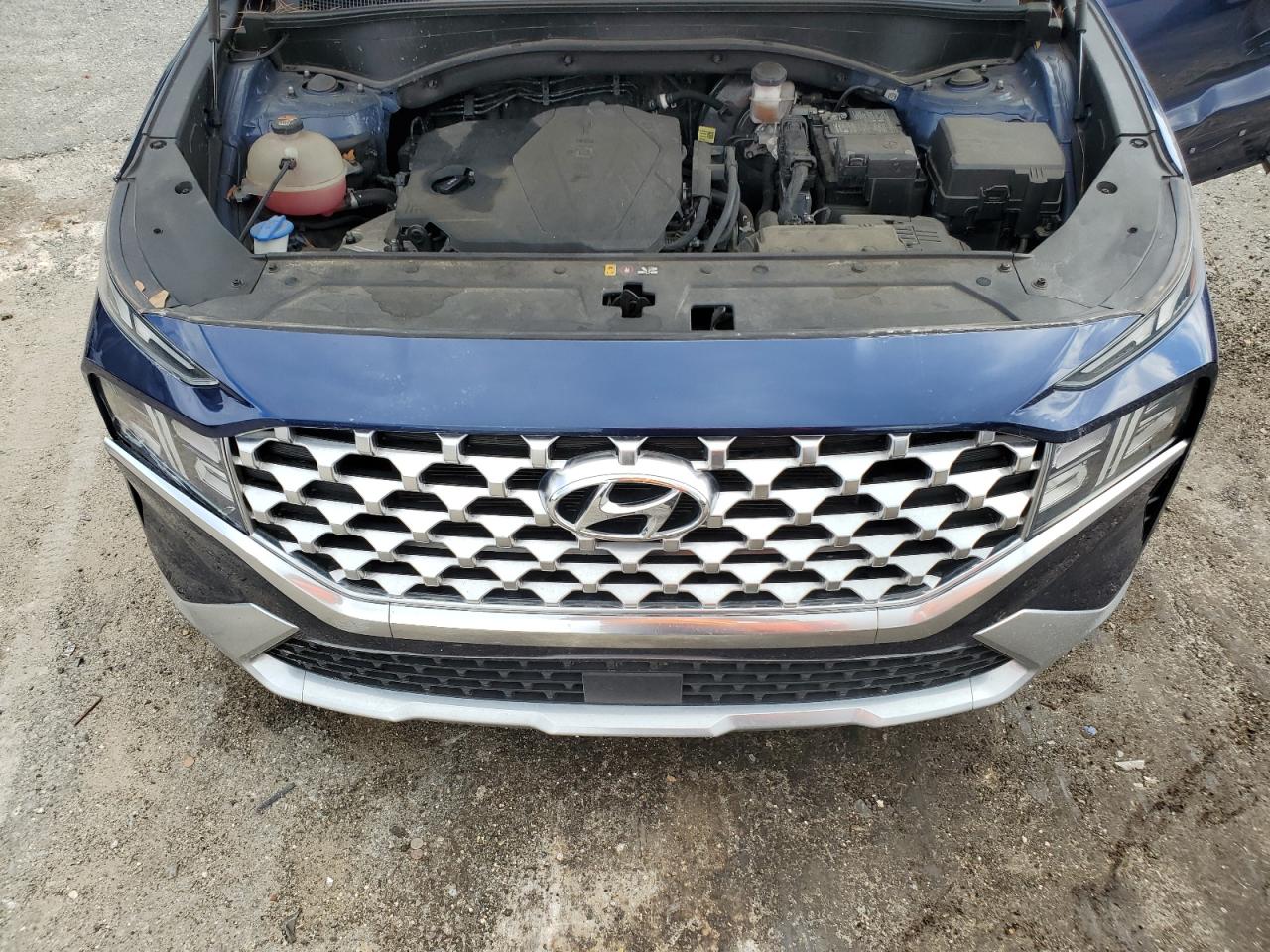 2021 Hyundai Santa Fe Sel VIN: 5NMS24AJ5MH365054 Lot: 64047475