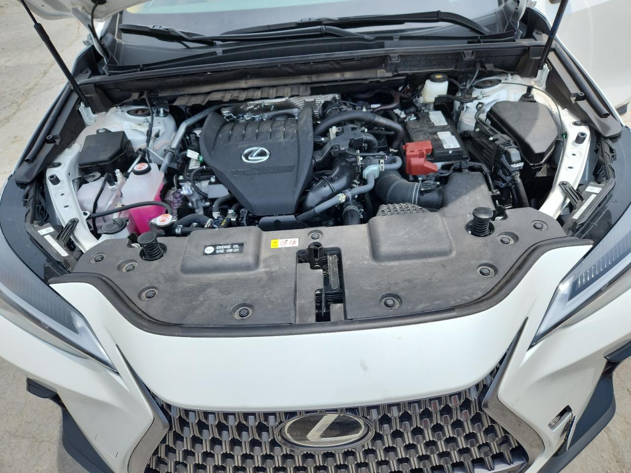 2025 Lexus Nx 350 Premium VIN: 2T2GGCEZ3SC075881 Lot: 63259625