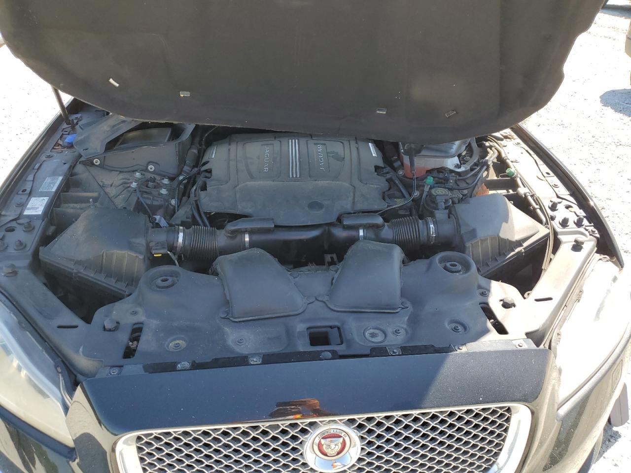 2014 Jaguar Xjl Portfolio VIN: SAJWA2GZ2E8V66906 Lot: 64888135
