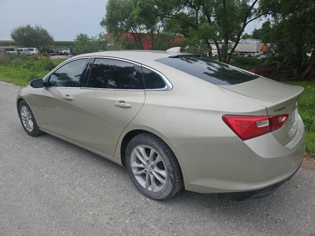Sedans CHEVROLET MALIBU 2016 Złoty
