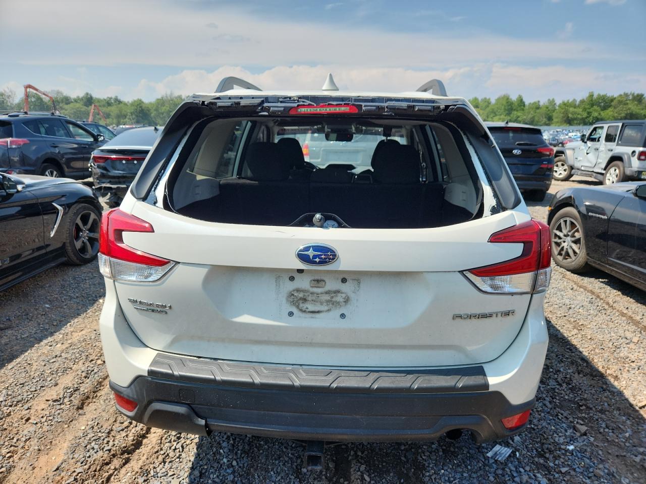 2019 Subaru Forester Premium VIN: JF2SKAEC3KH428632 Lot: 62773215