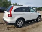 2009 HONDA CR-V EXL   for sale at Copart ON - COOKSTOWN