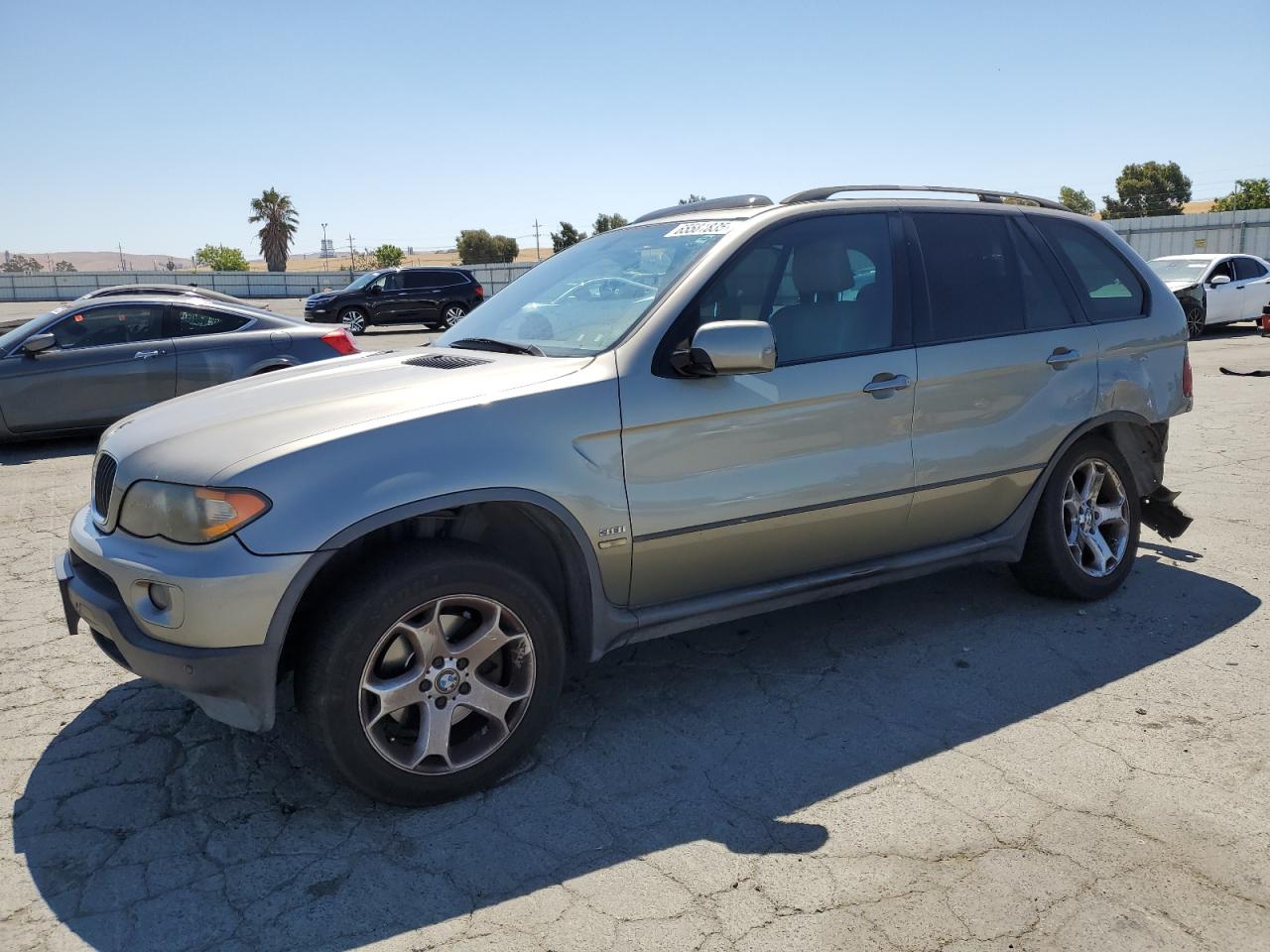 2005 BMW X5 3.0I VIN: 5UXFA13595LY23664 Lot: 65581835