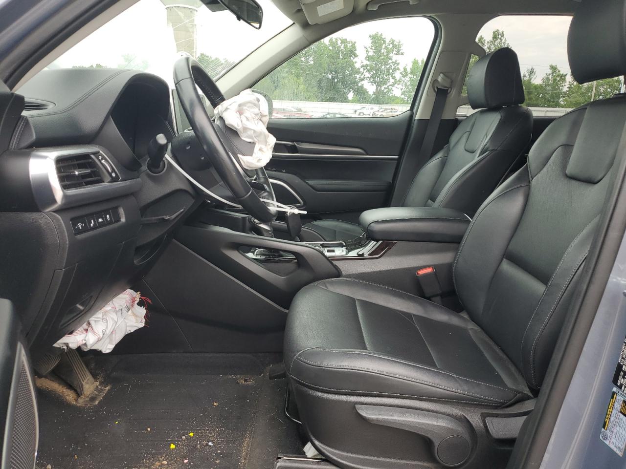 2022 Kia Telluride Lx VIN: 5XYP2DHCXNG312083 Lot: 64025375