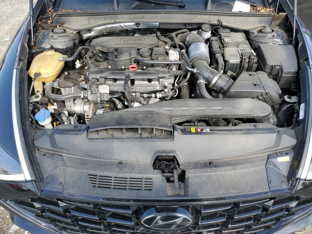 2021 Hyundai Sonata Limited VIN: 5NPEH4J2XMH116207 Lot: 64275415