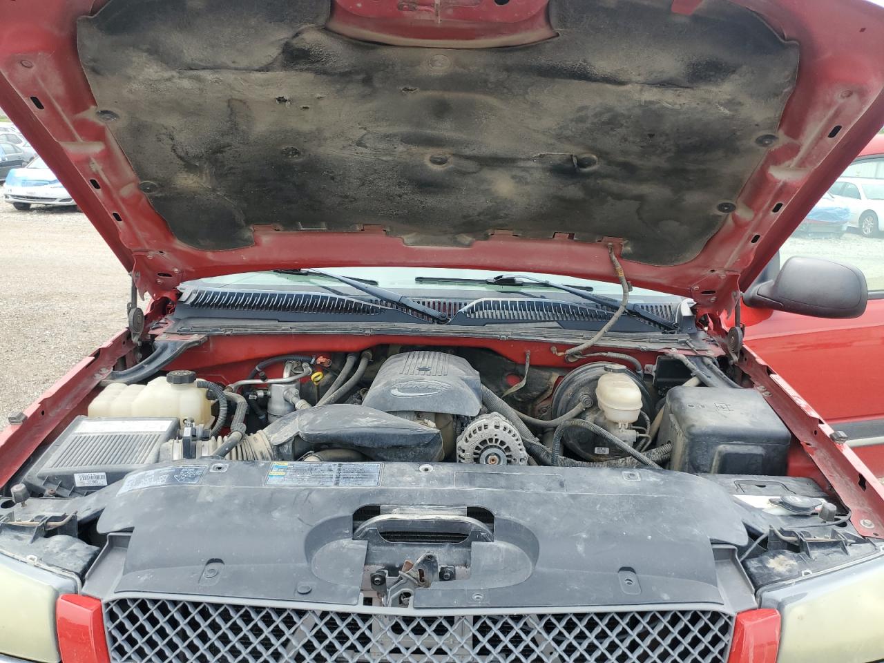 2005 Chevrolet Silverado K1500 VIN: 1GCEK19B35E242222 Lot: 65032825