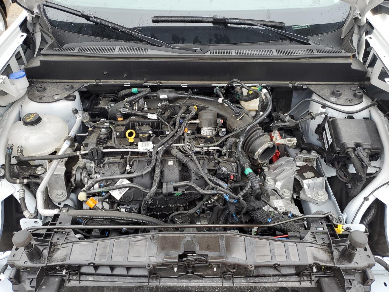 3fttw8a99rrb66764 3FTTW8A99RRB66764 2024 Ford Maverick Xl