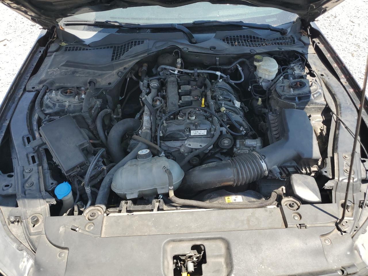 2017 Ford Mustang VIN: 1FA6P8TH9H5278230 Lot: 65681135