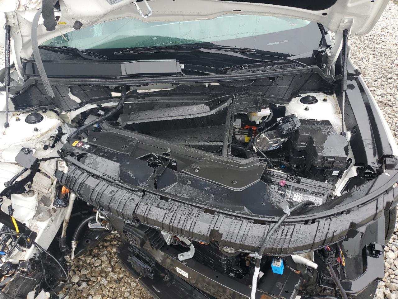 kndcr3l19r5112059 KNDCR3L19R5112059 2024 Kia Niro Wind