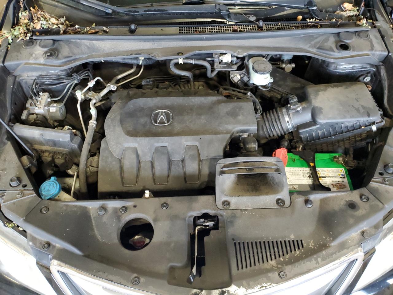 2013 Acura Rdx Technology VIN: 5J8TB4H56DL024419 Lot: 64735725