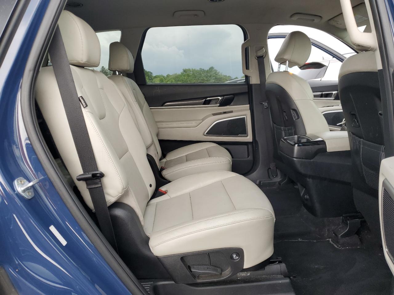 2023 Kia Telluride S VIN: 5XYP6DGC4PG339448 Lot: 61792375