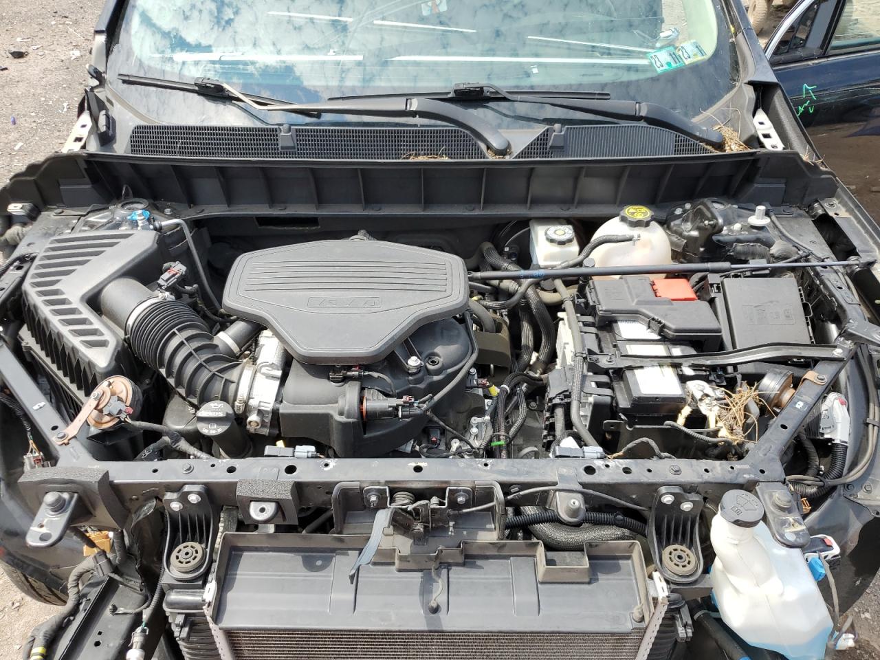 2019 GMC Acadia Denali VIN: 1GKKNXLS4KZ160143 Lot: 66531895