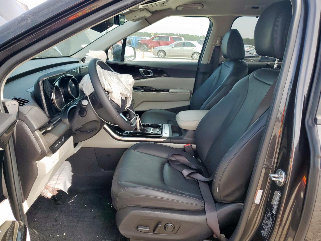 2024 Kia Carnival Ex VIN: KNDNC5H36R6386099 Lot: 66897215