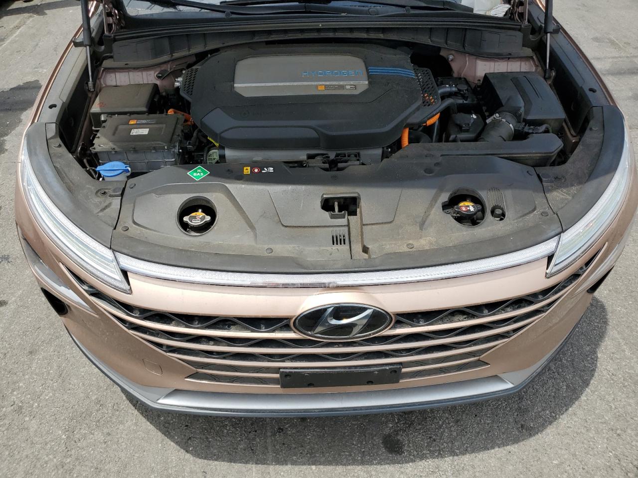 2021 Hyundai Nexo Blue VIN: KM8J74A67MU014787 Lot: 65209455