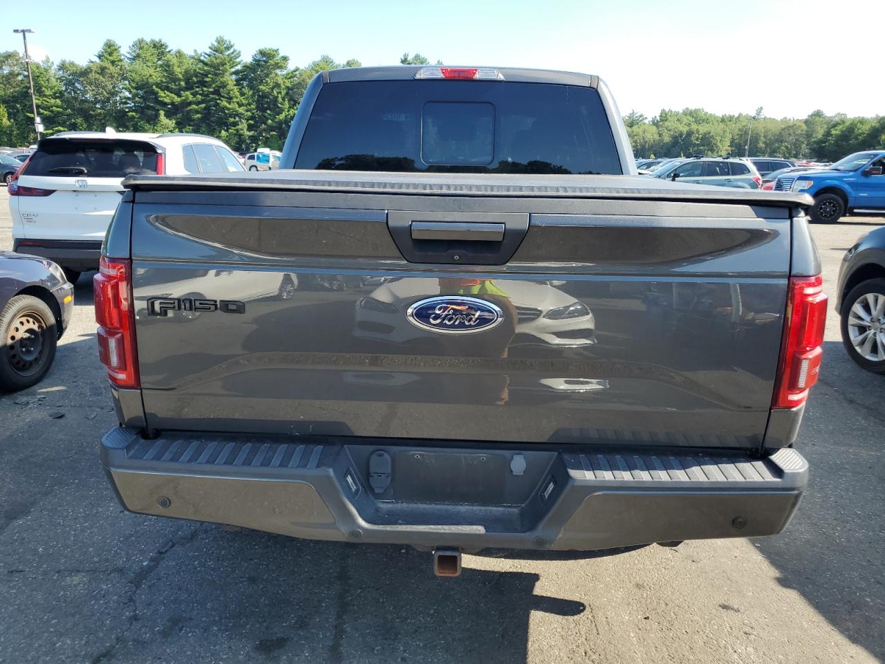 2016 Ford F150 Supercrew VIN: 1FTEW1EF5GFB44707 Lot: 65234675