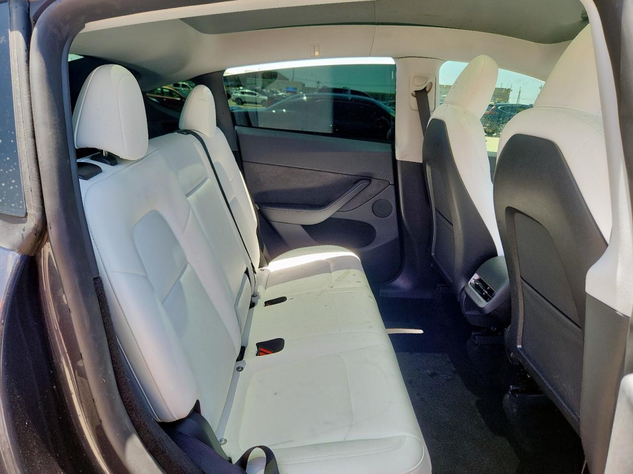 2024 Tesla Model Y VIN: 7SAYGDEE3RA262054 Lot: 64806655