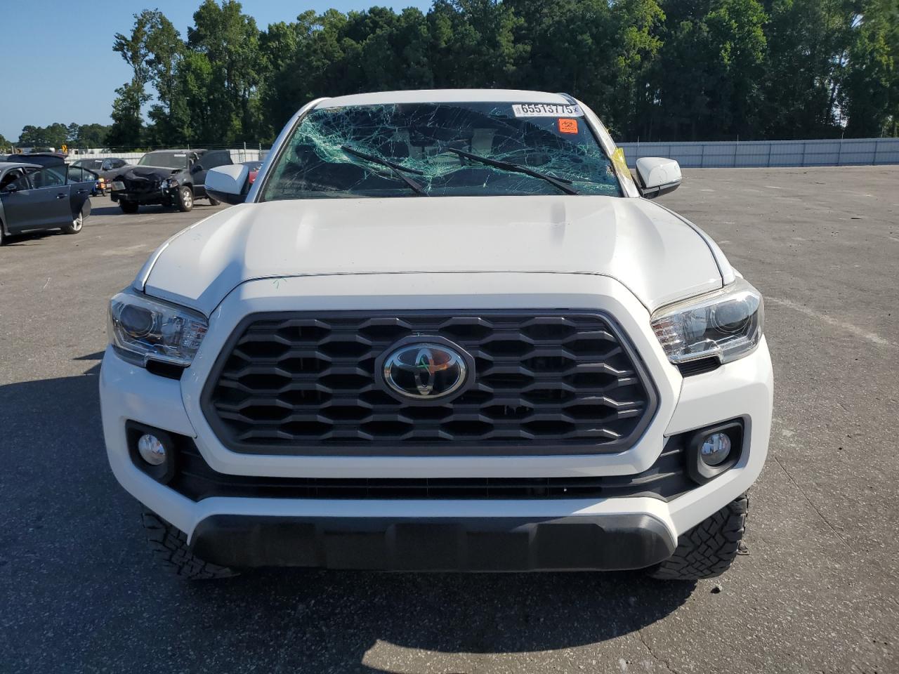 2020 Toyota Tacoma Double Cab VIN: 3TMCZ5AN3LM306850 Lot: 65513775