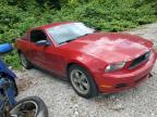 2011 FORD MUSTANG    à vendre chez Copart AB - CALGARY