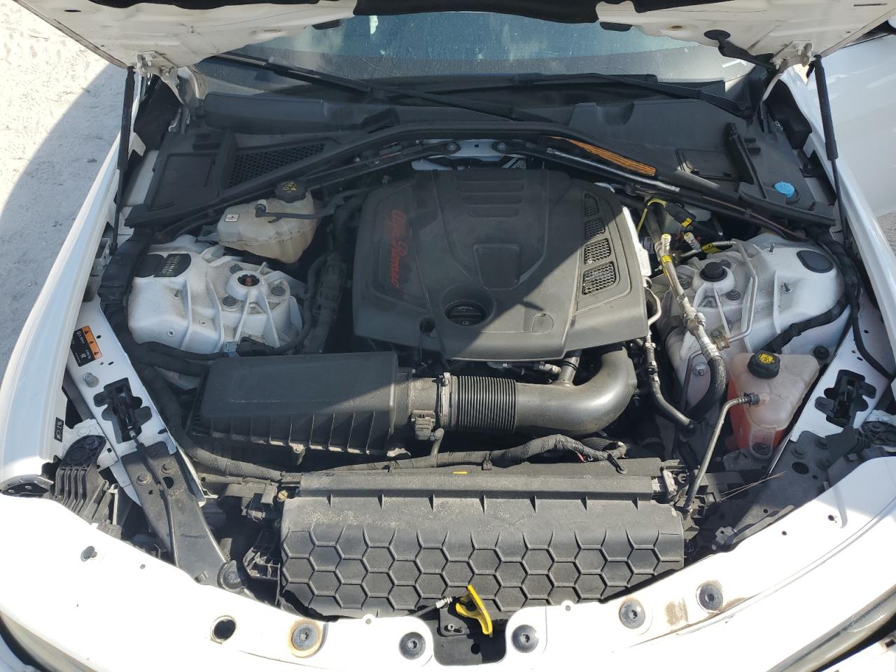 2019 Alfa Romeo Giulia VIN: ZARFAMAN3K7611892 Lot: 66914495