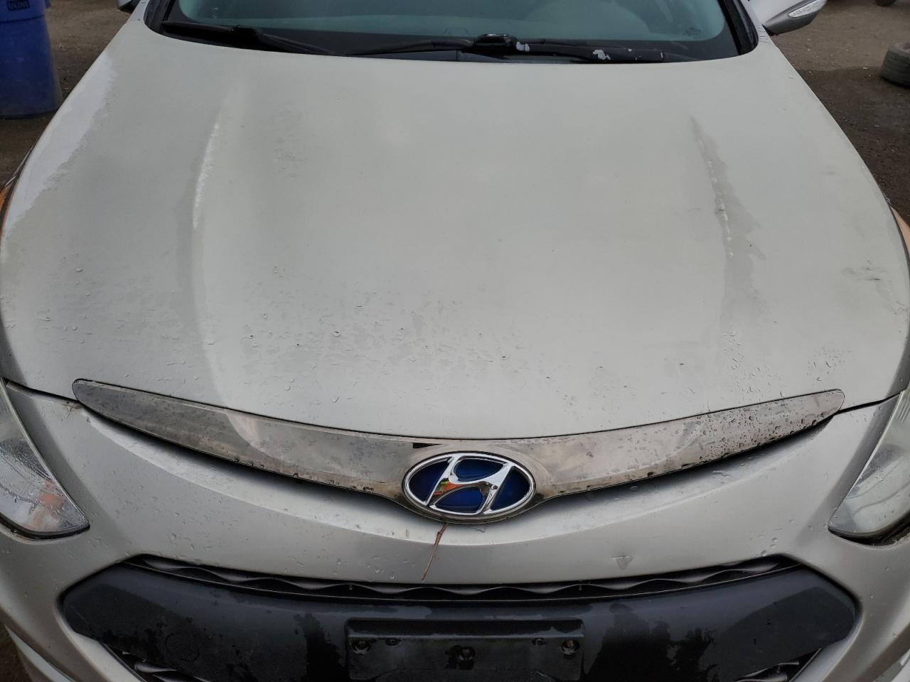 2013 Hyundai Sonata Hybrid VIN: KMHEC4A45DA066920 Lot: 64602435