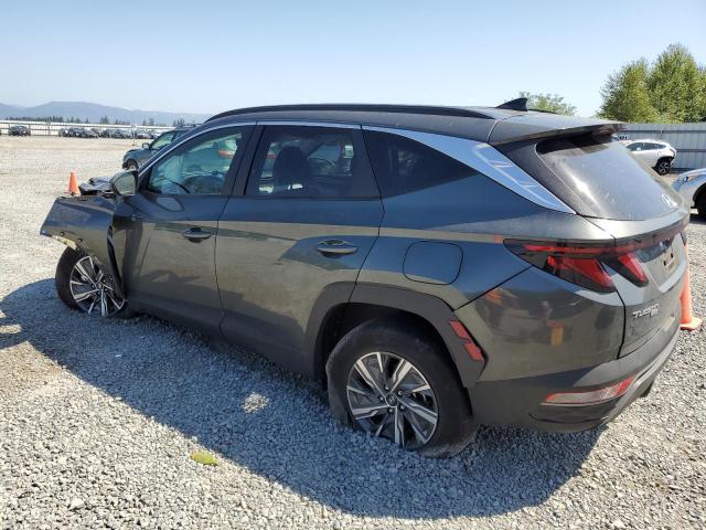  HYUNDAI TUCSON 2024 Серый