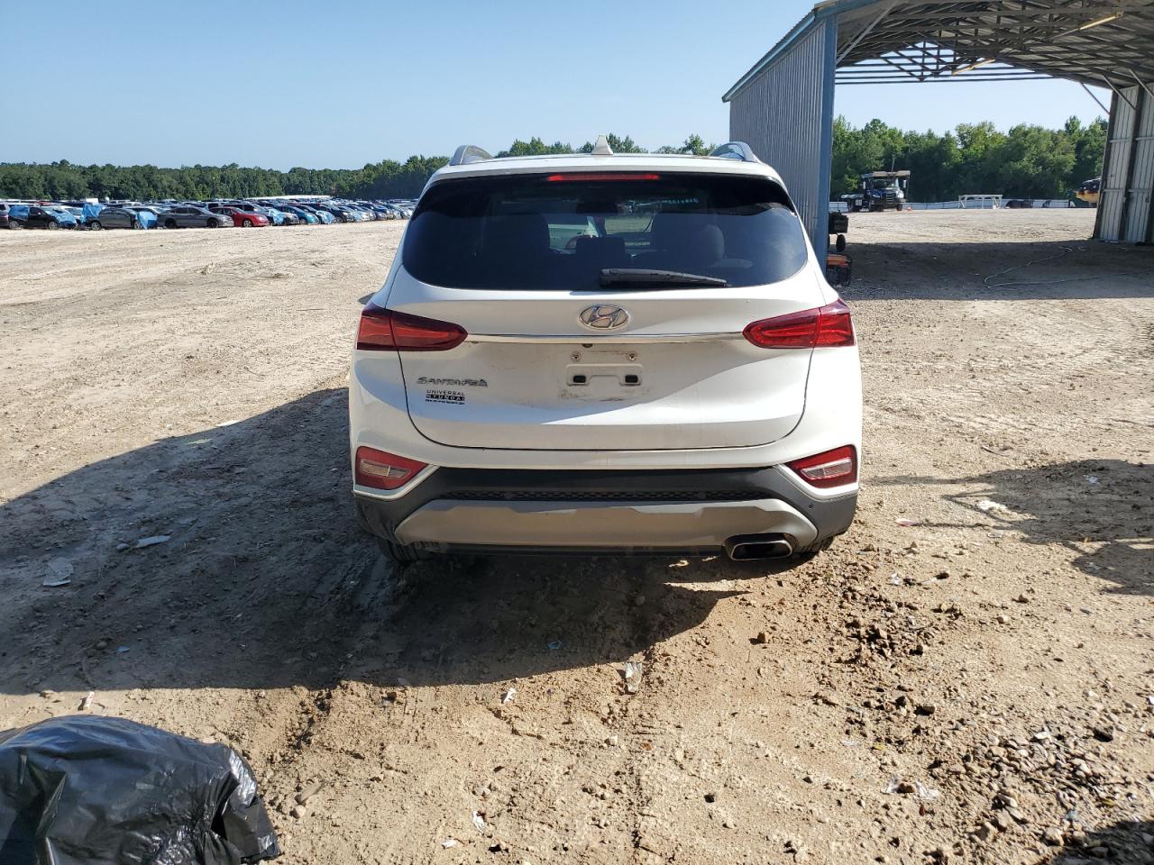 2020 Hyundai Santa Fe Sel VIN: 5NMS33AD7LH216578 Lot: 64802685