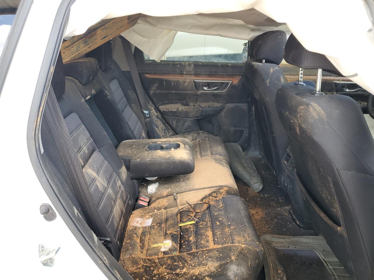 JHLRW2H56KX012510 HONDA CRV 2019