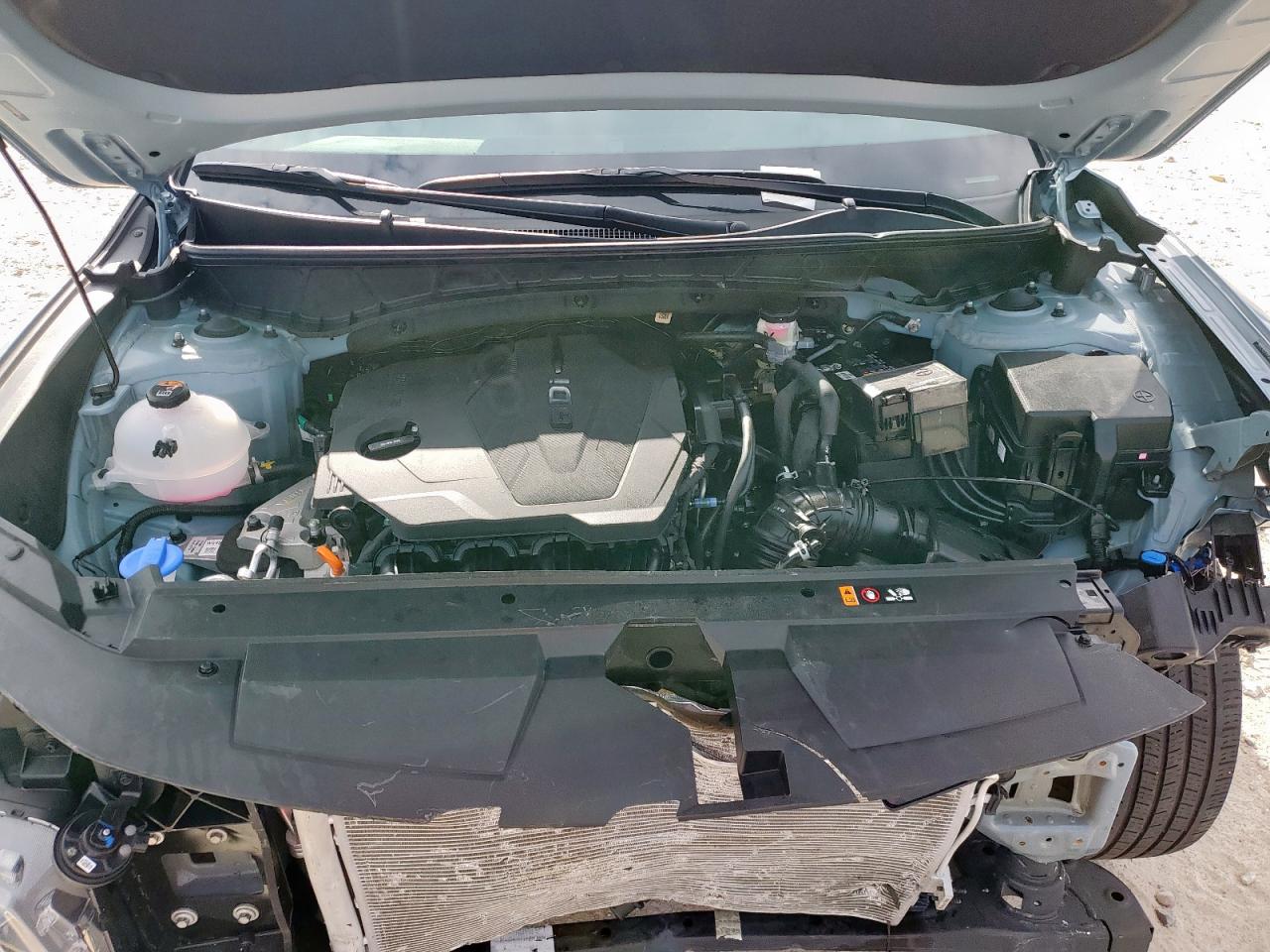 2025 Hyundai Santa Cruz Sel Activity VIN: 5NTJC4DE4SH145669 Lot: 63576855