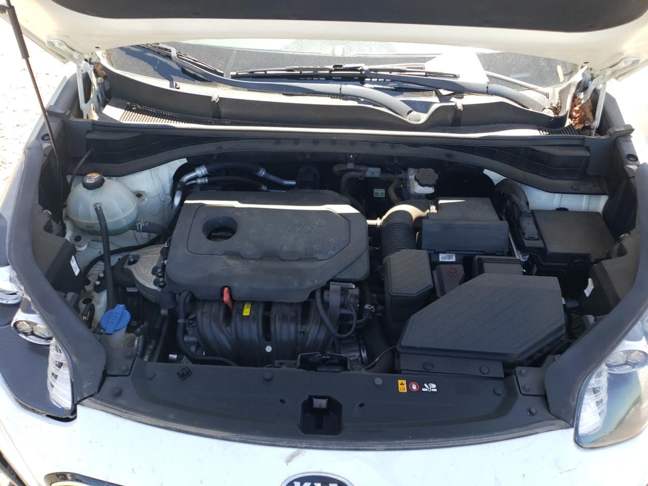 2020 Kia Sportage Lx VIN: KNDPM3ACXL7700648 Lot: 65307875