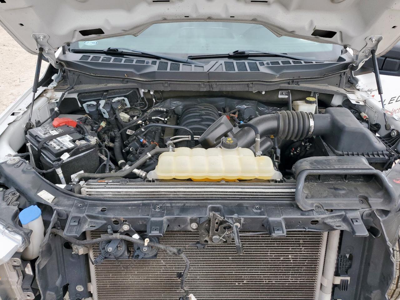 2022 Ford F150 VIN: 1FTMF1C56NKD24644 Lot: 63307315