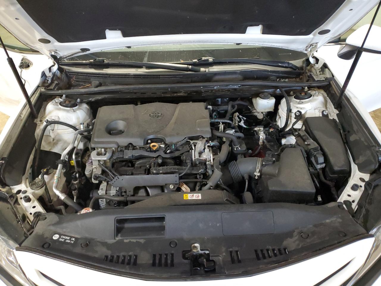 4T1B11HK5KU272813 2019 Toyota Camry L