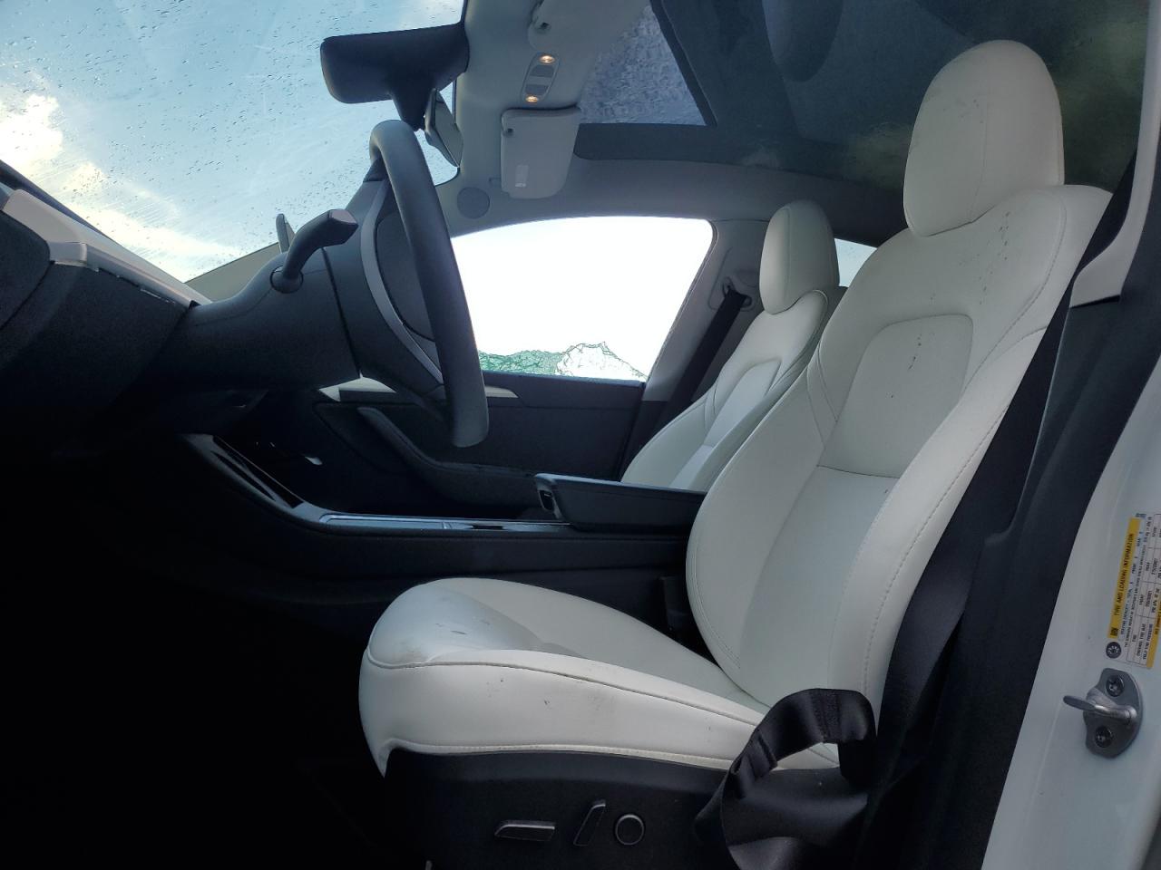 2023 Tesla Model Y VIN: 7SAYGDEF2PF831923 Lot: 63479905