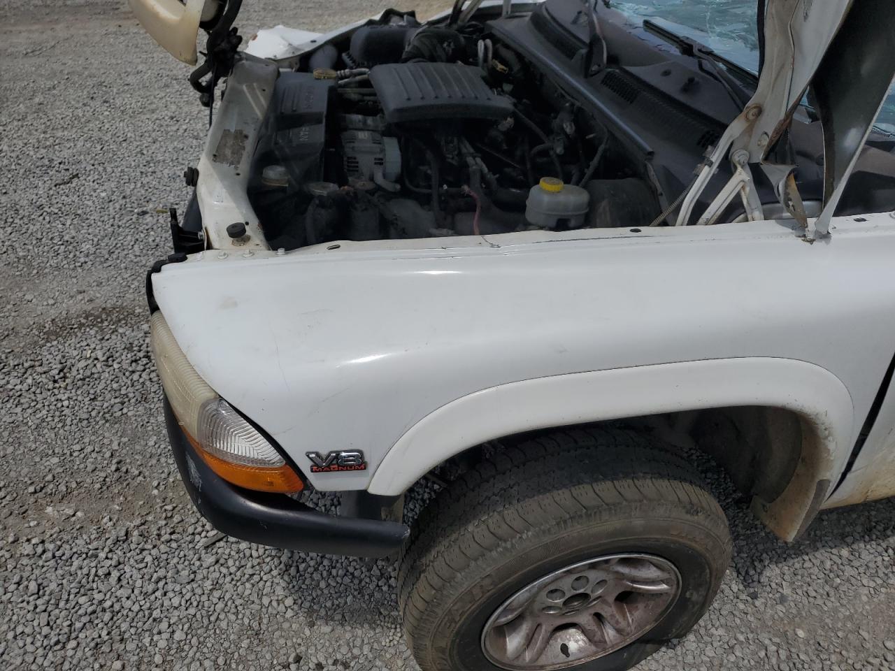 2000 Dodge Dakota VIN: 1B7GG22N2YS567745 Lot: 64826915