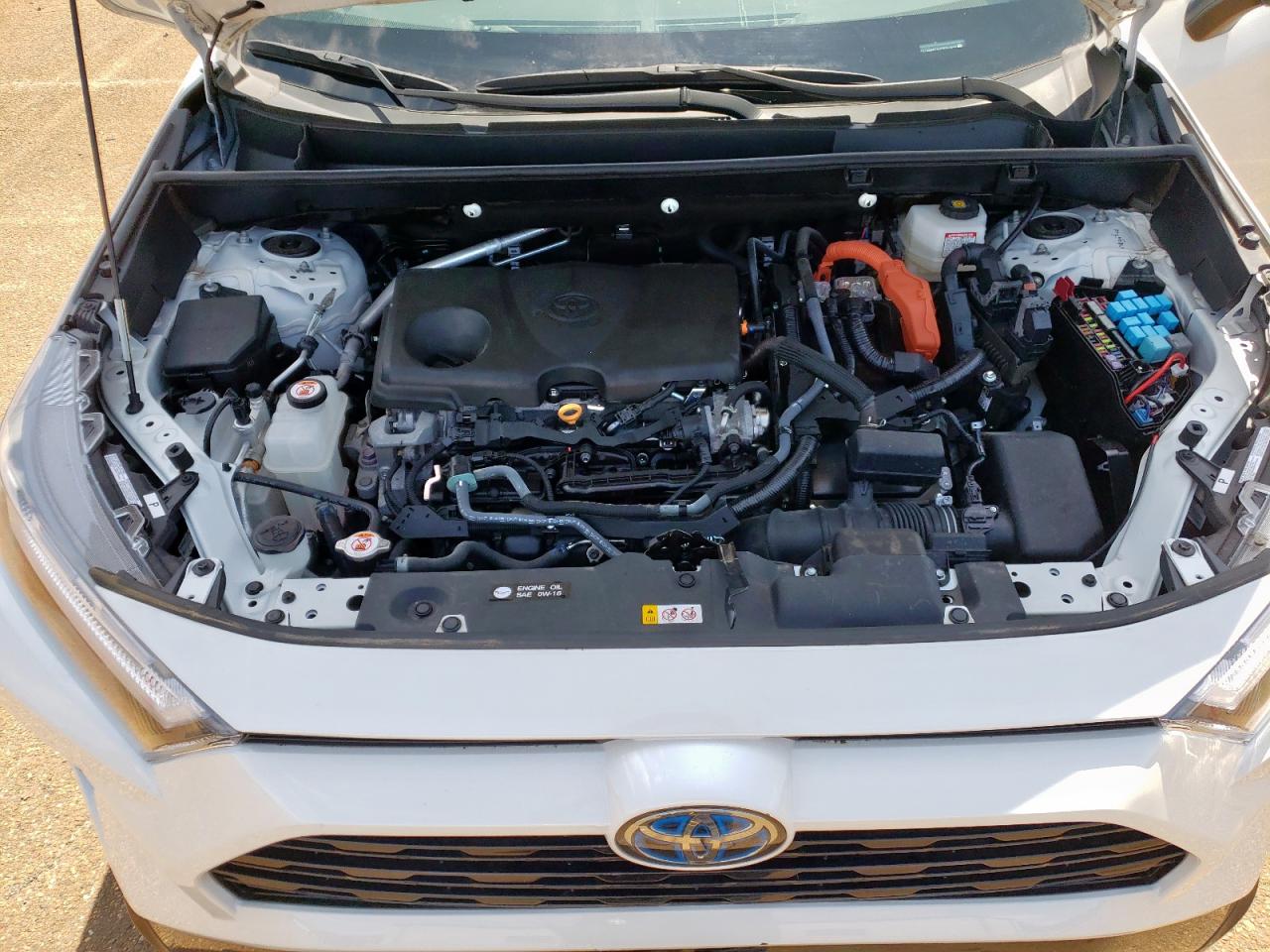 2T3E6RFV5PW043640 TOYOTA RAV4 2023