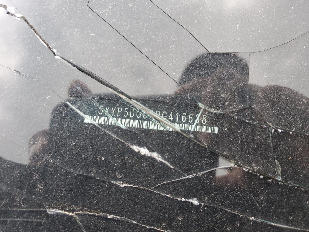 2024 Kia Telluride Sx VIN: 5XYP5DGC3RG416638 Lot: 62874765