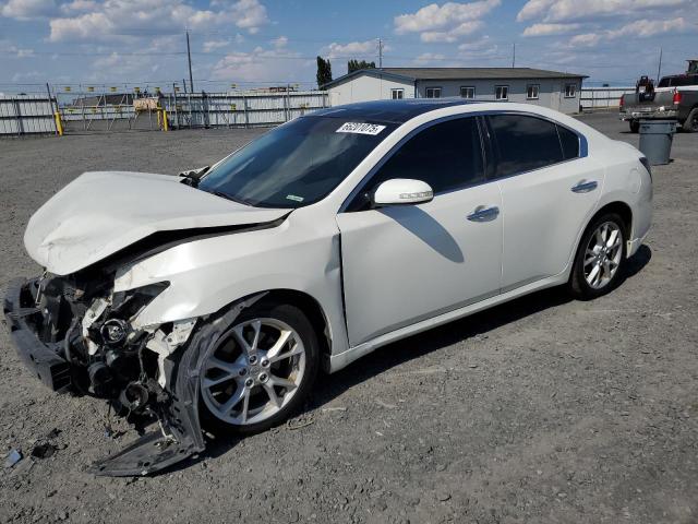  NISSAN MAXIMA 2014 Biały
