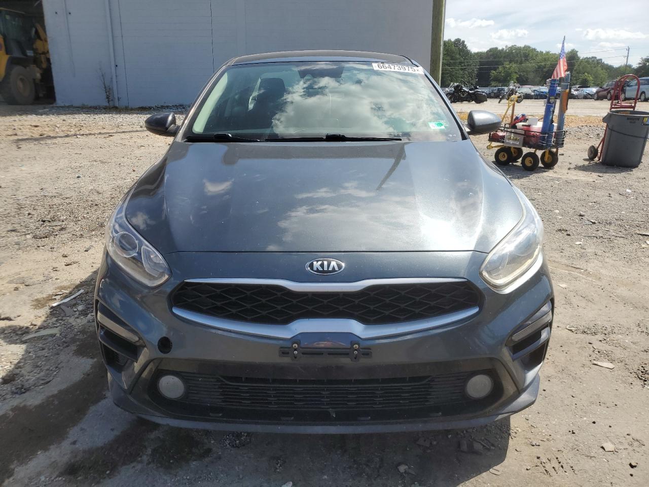 2020 Kia Forte Fe VIN: 3KPF24ADXLE163294 Lot: 66473975