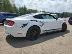 2017 FORD MUSTANG    à vendre chez Copart ON - COOKSTOWN