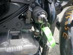 2009 HARLEY-DAVIDSON XL1200 N   for sale at Copart QC - MONTREAL