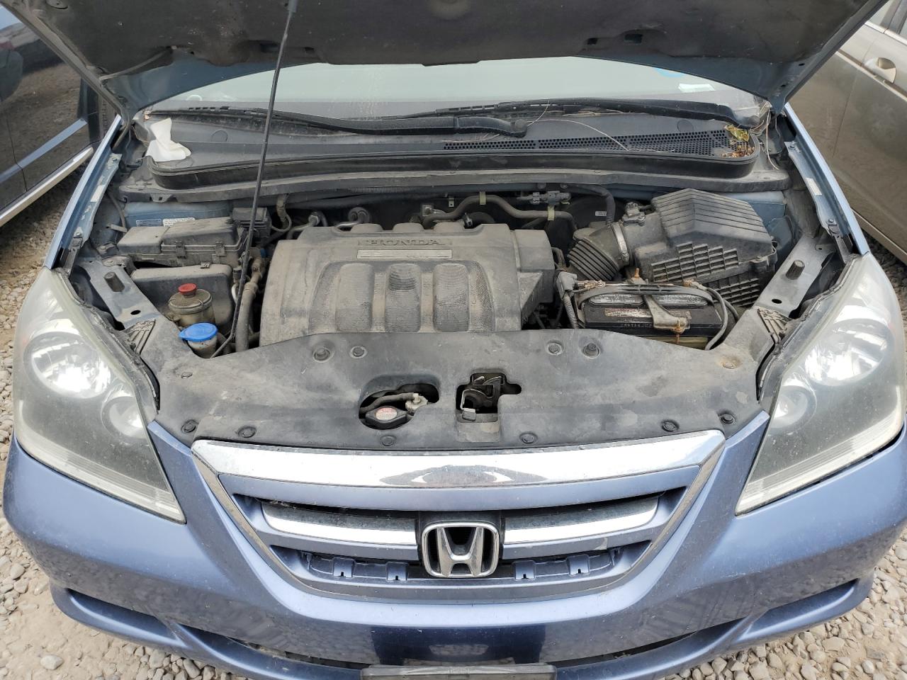 2007 Honda Odyssey Exl VIN: 5FNRL38737B070203 Lot: 65089875