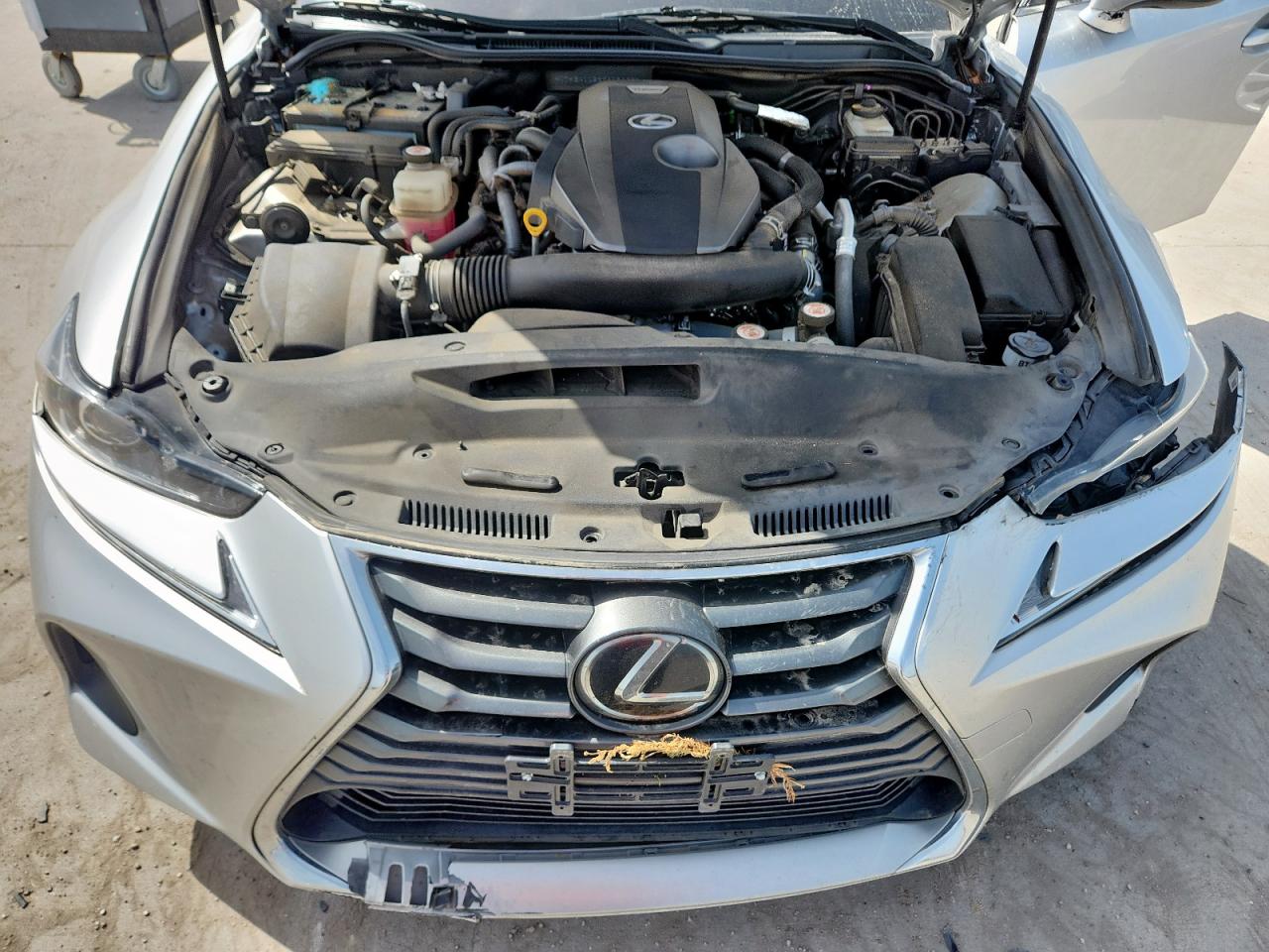 2019 Lexus Is 300 VIN: JTHBA1D28K5098335 Lot: 63421365