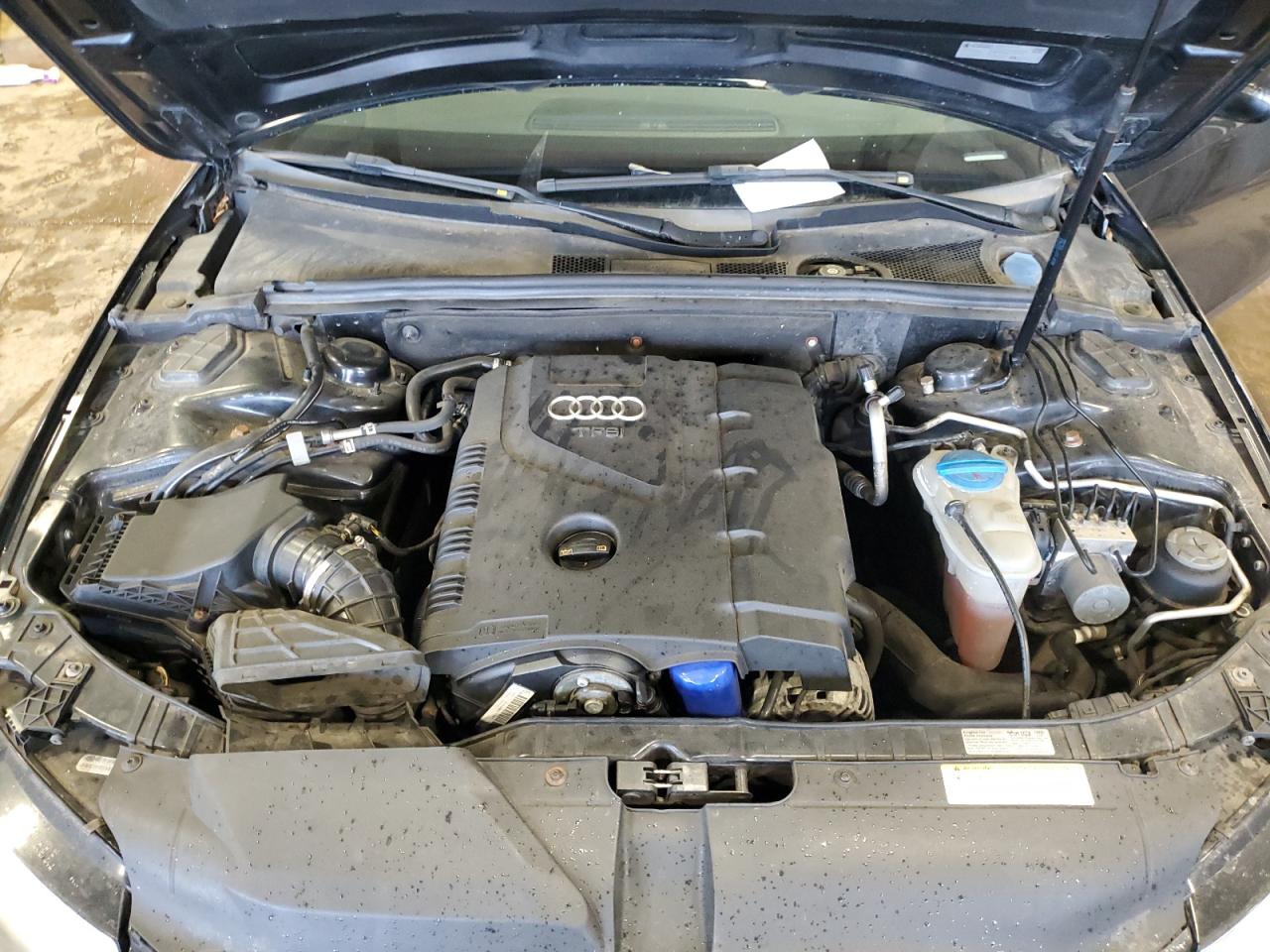 2010 Audi A4 Premium VIN: WAUBFAFL8AN062925 Lot: 62880055