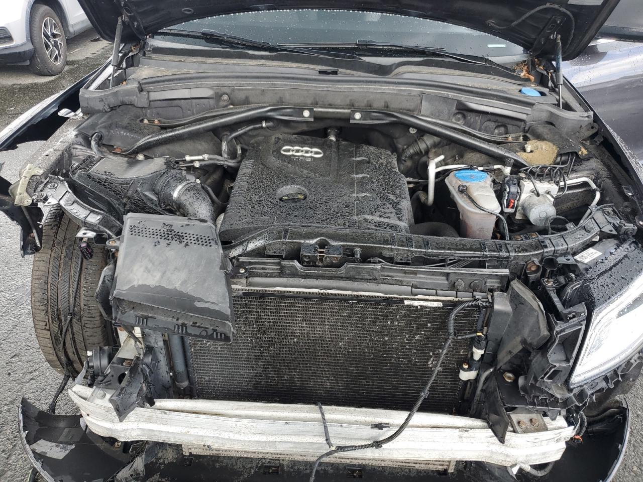 2014 Audi Q5 Premium Plus VIN: WA1LFAFPXEA071482 Lot: 64552065