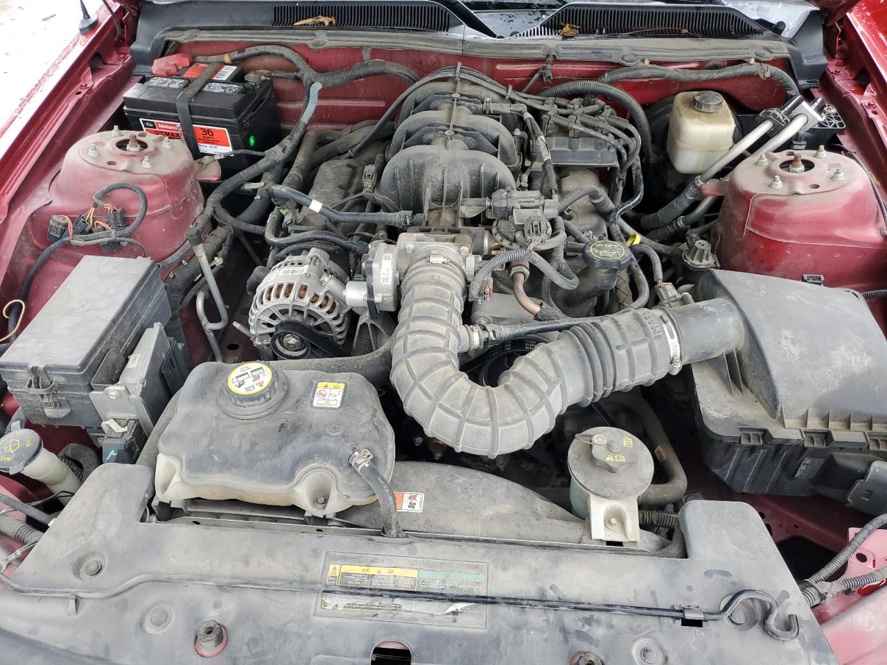 2007 Ford Mustang VIN: 1ZVFT80N775326304 Lot: 64967795