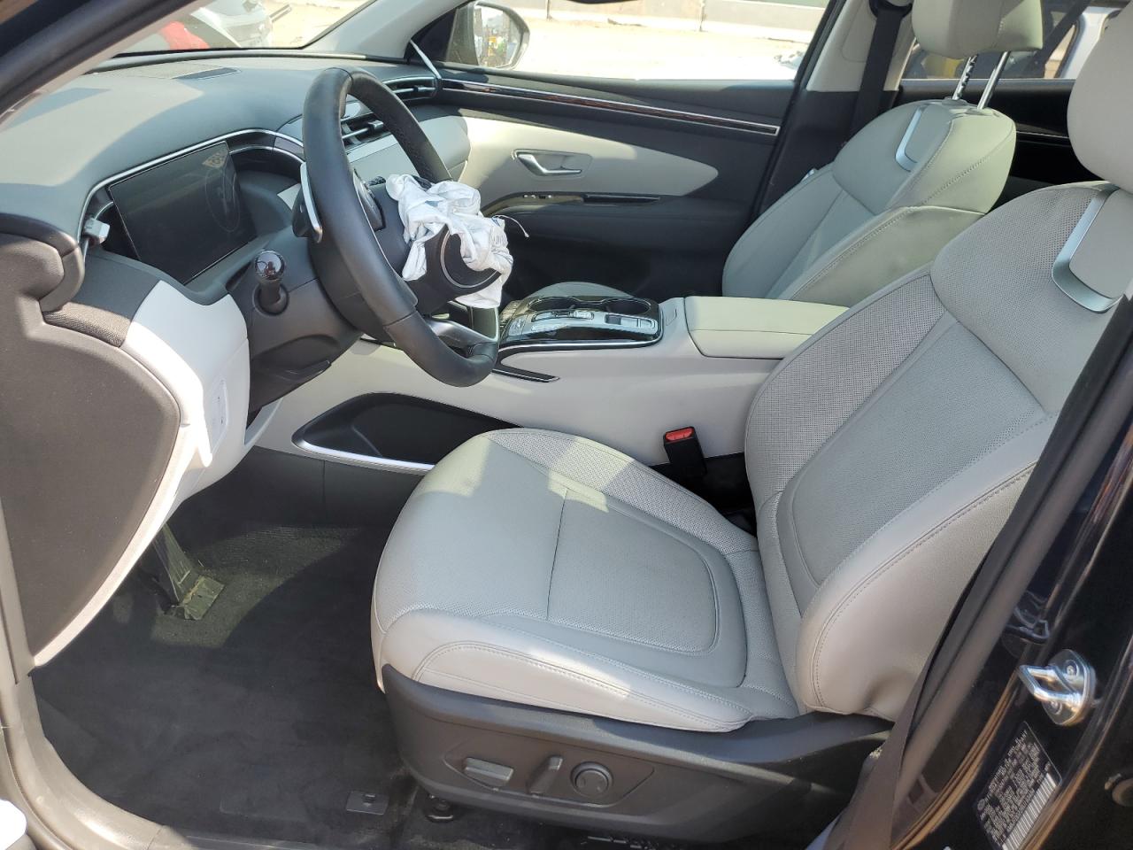 2024 Hyundai Tucson Limited VIN: KM8JFDD22RU193484 Lot: 65451175