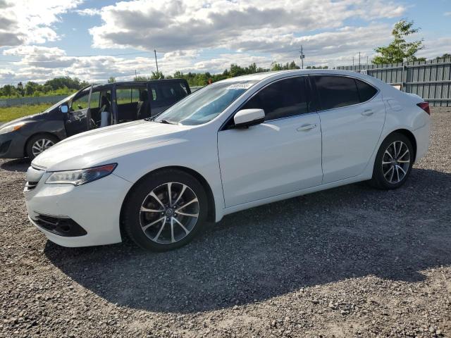  ACURA TLX 2016 Biały