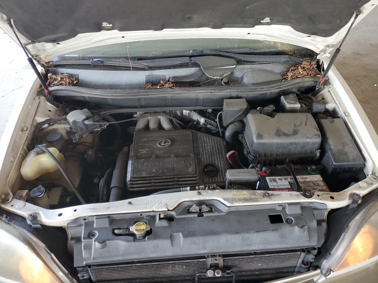 2000 Lexus Rx 300 VIN: JT6HF10U9Y0156471 Lot: 64781445