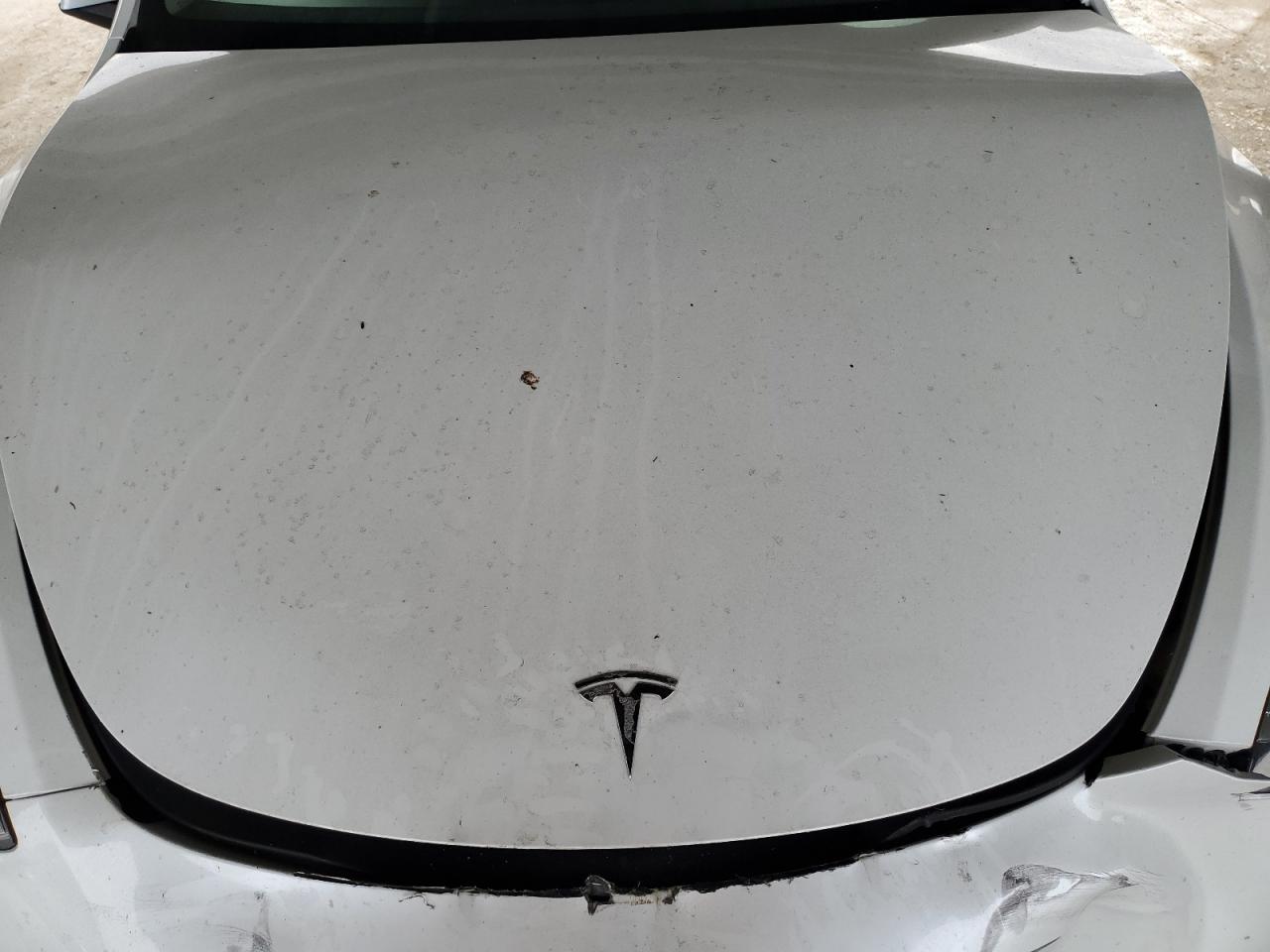 2022 Tesla Model Y VIN: 7SAYGDEE3NF387083 Lot: 65645065